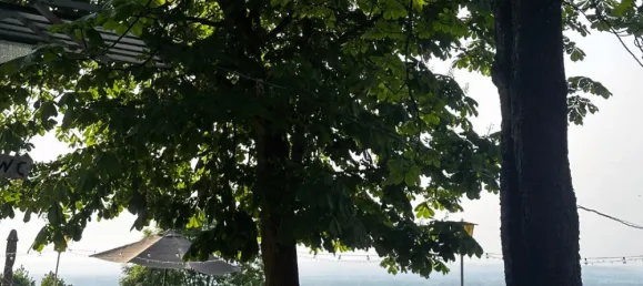 530m² Commercial property in Konigstetten, Austria No. 141335 26