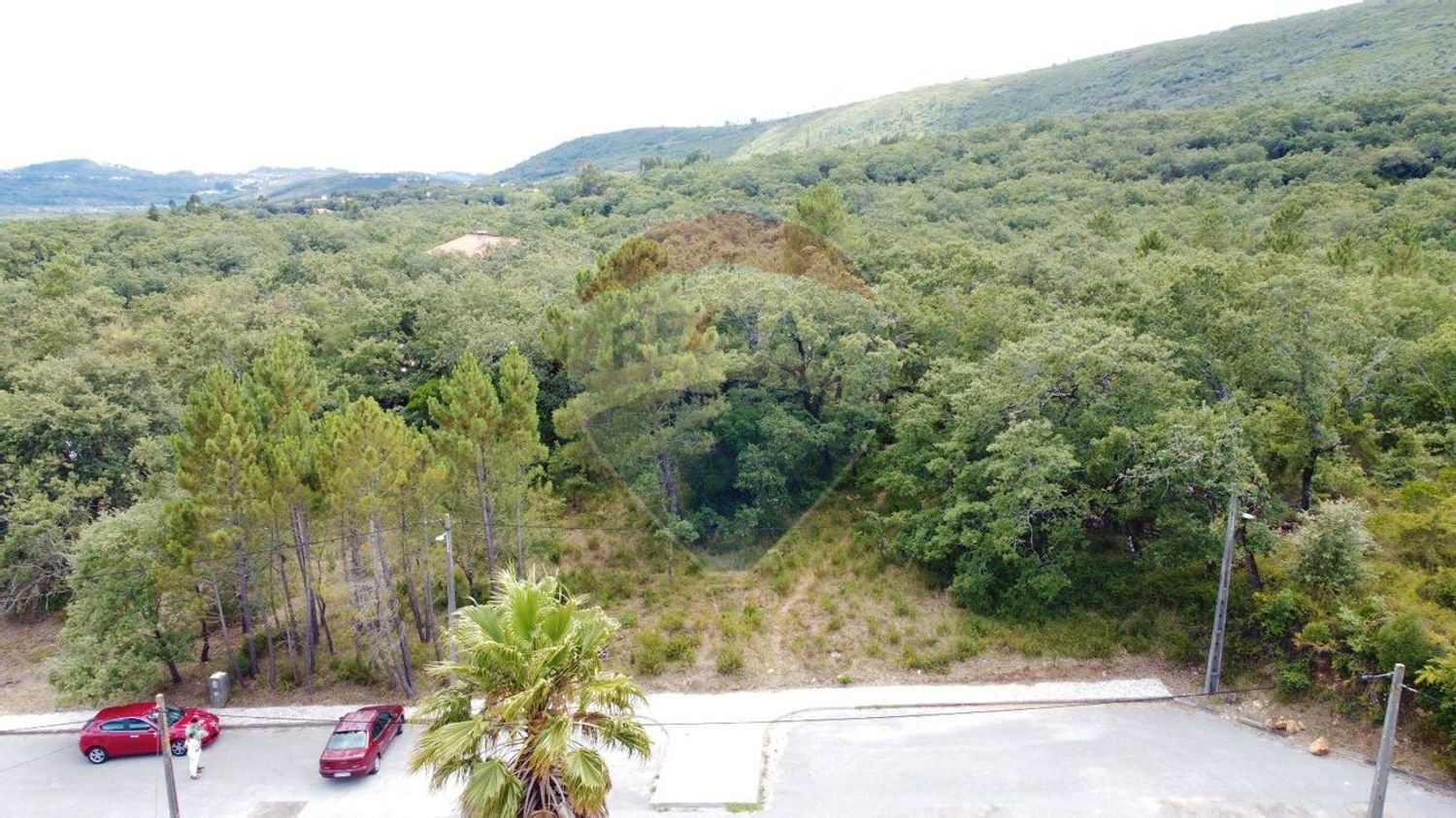 Grundstück in Alvaiazere, Portugal 916m², Nr. 77432