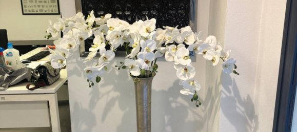 Bureau à Tegel, Germany 215m² No. 368352 5