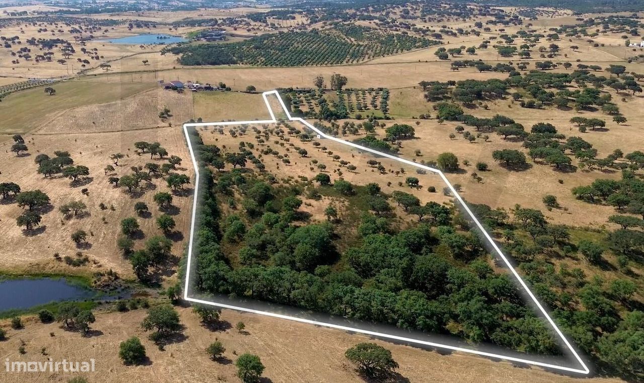 46875m² Land in Almodovar, Portugal No. 206764