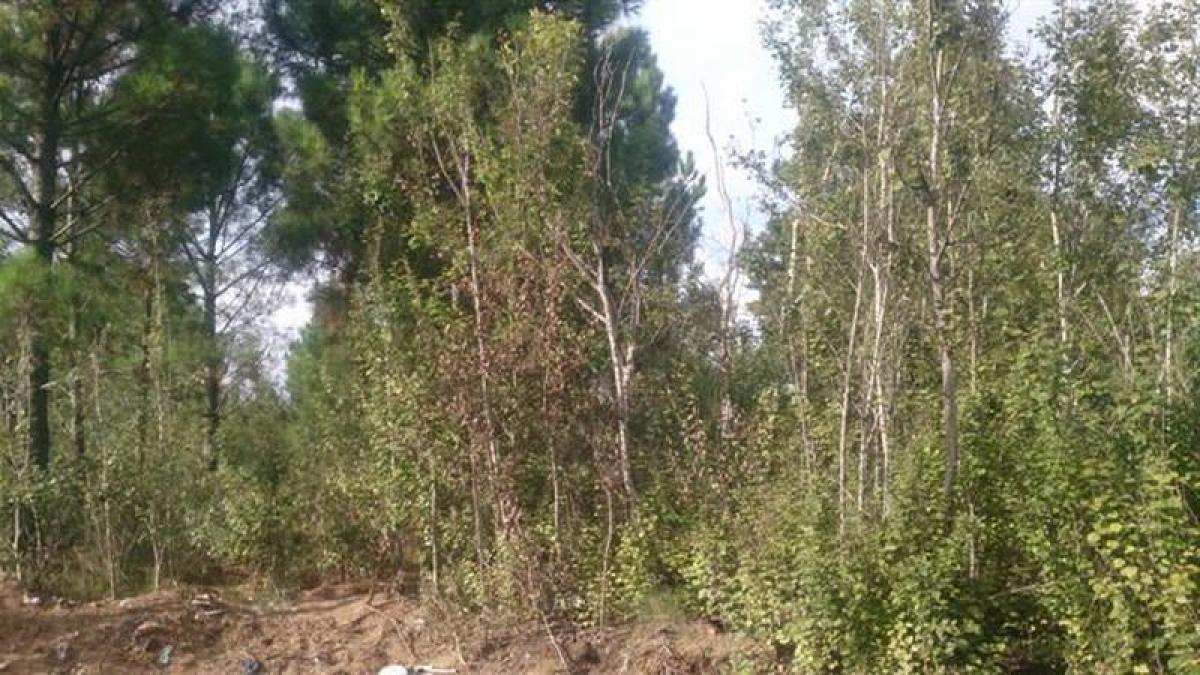  Land in Mar del Plata, Argentina No. 120375