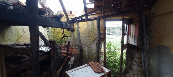 2 chambres Maison à Ferreira a Nova, Portugal No. 32397 26