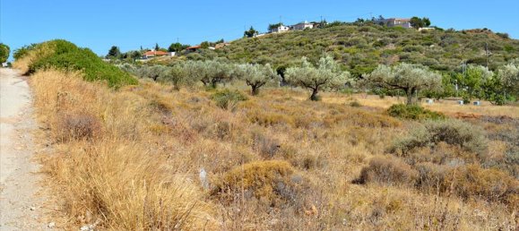  فندق في Keratea, Greece 4700متر مربع رقم 6995 2