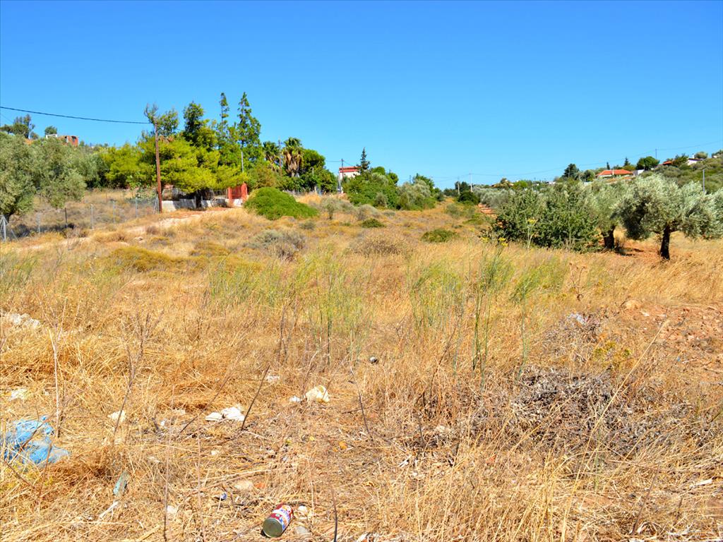 4700m² Hotel for sale in Keratea, Lavreotiki, East Attica, Attica, Greece № 6995