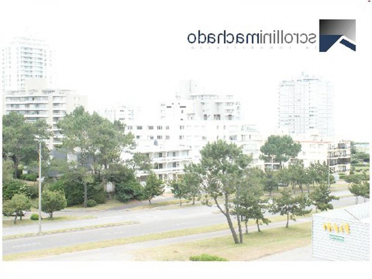 Studio in Maldonado, Uruguay No. 1301