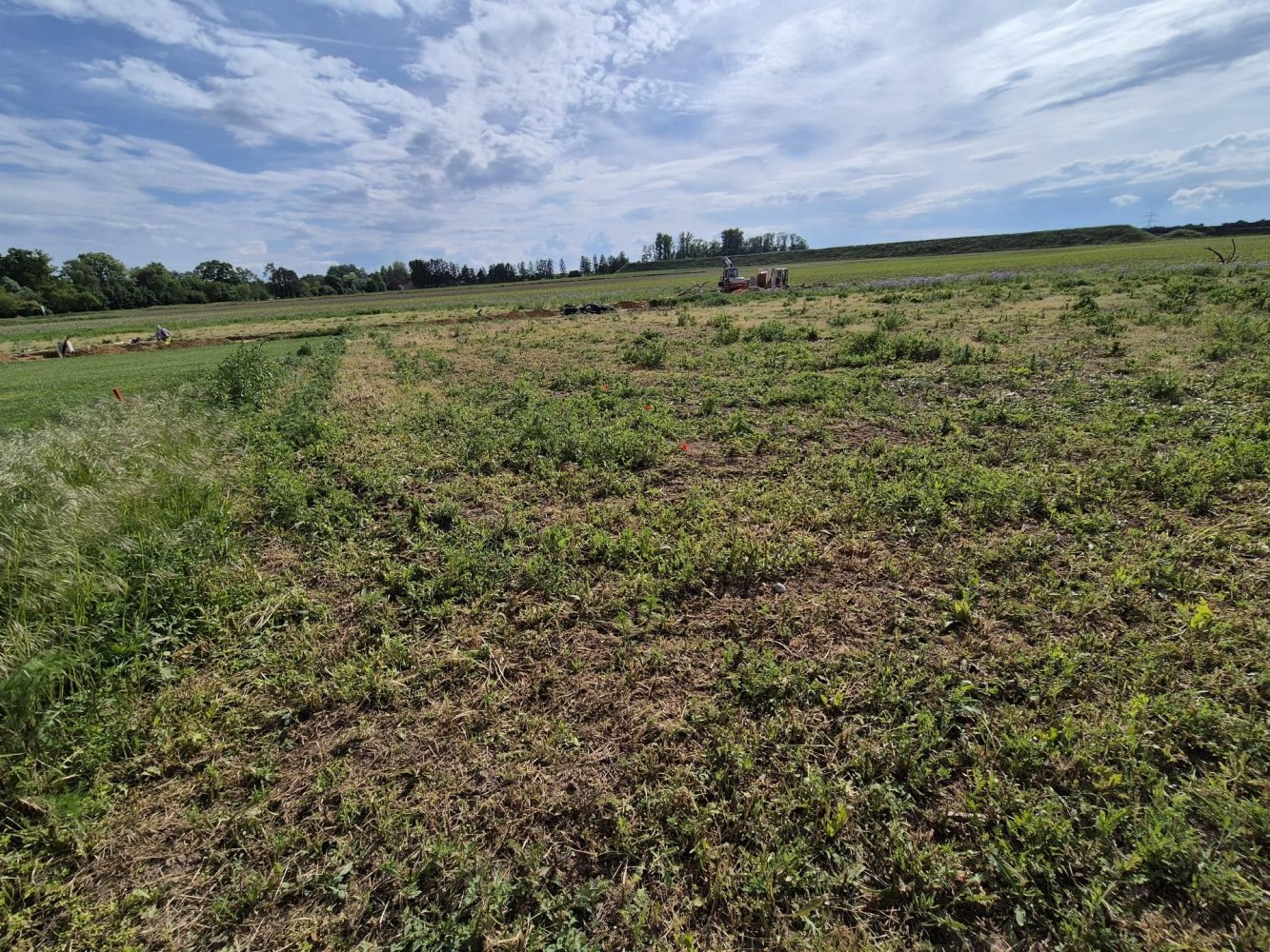  قطعة أرض في Sierndorf, Austria 630متر مربع رقم 126947