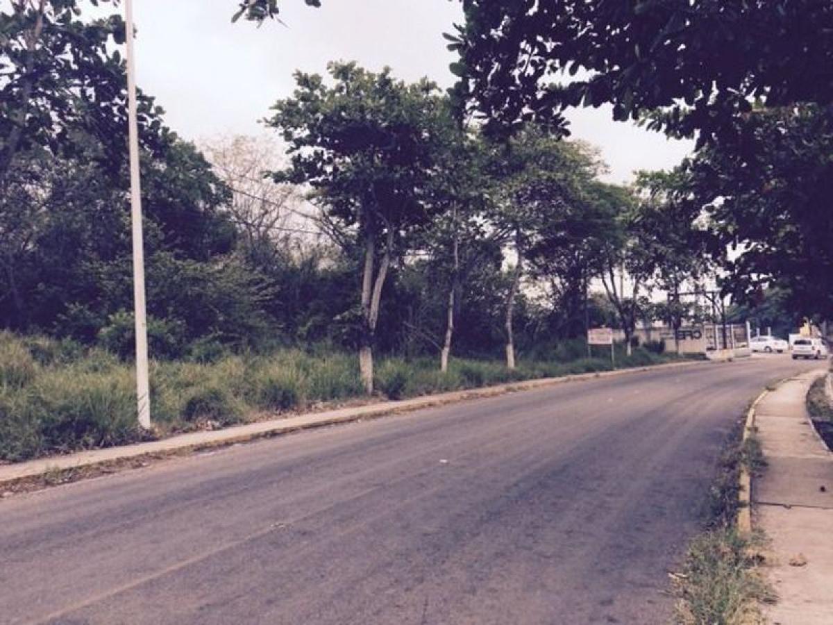 Grundstück in Veracruz, Mexico, Nr. 205852