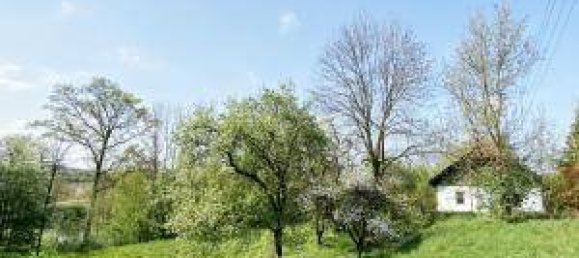 2207m² Land in Edt bei Lambach, Austria No. 98793 6