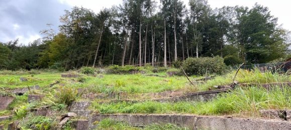 6 rooms House in Kaiserslautern, Germany No. 155240 13