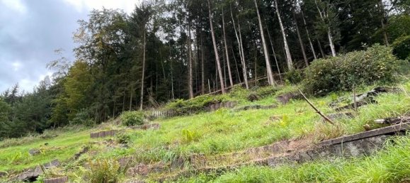 6 rooms House in Kaiserslautern, Germany No. 155240 14