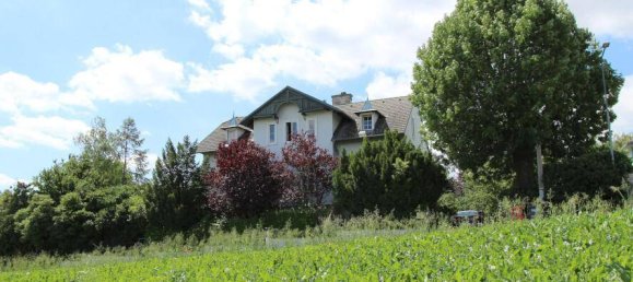 4 bedrooms Villa in Ernstbrunn, Austria No. 17823 10