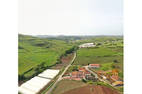 Terreno em Mafra, Portugal N.º 323028