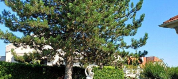 Bungalow de 3 habitaciónes en Krems an der Donau, Austria No. 224568 7