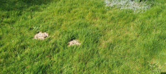 Casa T4 em Beauchamps, France N.º 57588 7