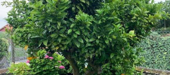 4 غرف نوم منزل في Ribadesella, Spain رقم 179421 3