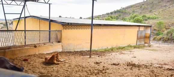 6 chambres Maison à Mijas, Spain No. 85552 15