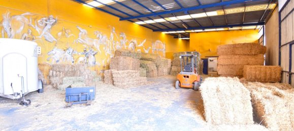 6 chambres Maison à Mijas, Spain No. 85552 38