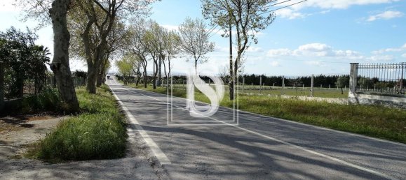 Villa de 6 dormitorios en Montijo, Portugal No. 348982 21