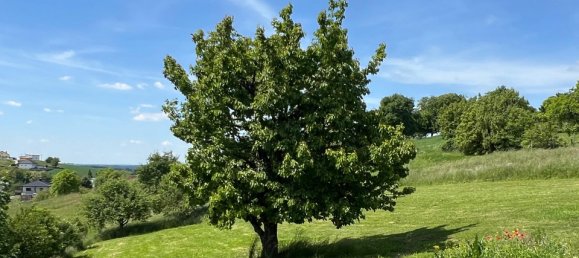 Casa de 6 dormitorios en Oberdorf im Burgenland, Austria No. 130062 6