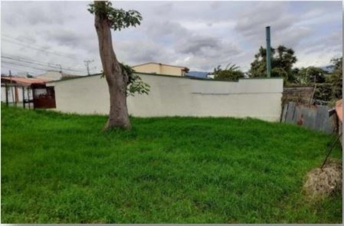 Земельный участок в Санто-Доминго, Коста-Рика № 1939