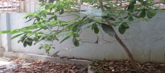 4 bedrooms House in Long Bien, Vietnam No. 5924 10