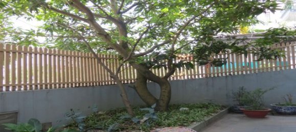 4 bedrooms House in Long Bien, Vietnam No. 5924 9