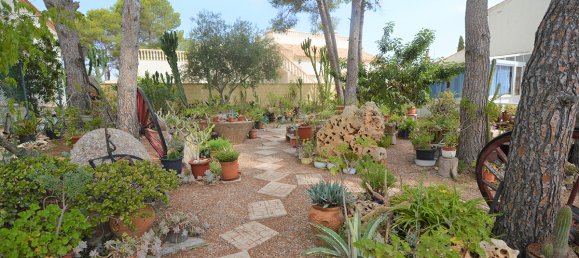 5 chambres Villa à Pinar De Campoverde, Spain No. 548 2