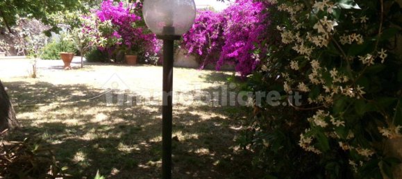 2 bedrooms Villa in Anzio, Italy No. 220005 34