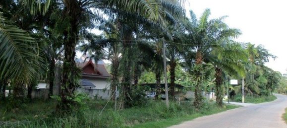 Commercial property in Phuket, Thailand No. 12646 4