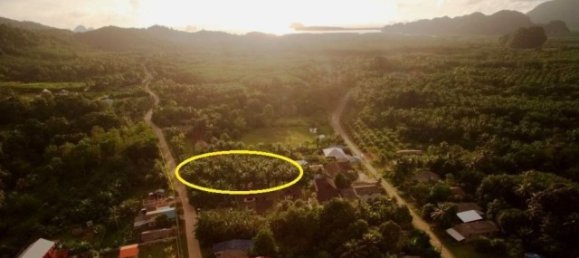 Commercial property in Phuket, Thailand No. 12646 6