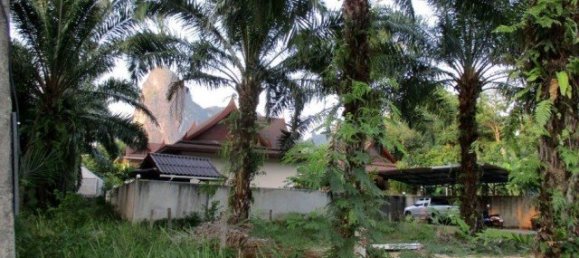 Commercial property in Phuket, Thailand No. 12646 2