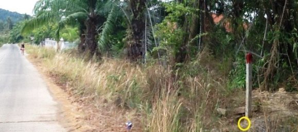 Commercial property in Phuket, Thailand No. 12646 3