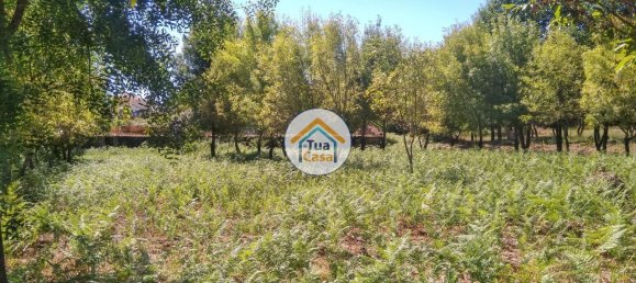 5 Schlafzimmer Haus in Viseu, Portugal, Nr. 58297 29