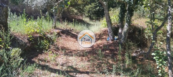 5 Schlafzimmer Haus in Viseu, Portugal, Nr. 58297 22