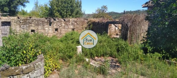 5 Schlafzimmer Haus in Viseu, Portugal, Nr. 58297 30