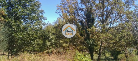 5 Schlafzimmer Haus in Viseu, Portugal, Nr. 58297 24