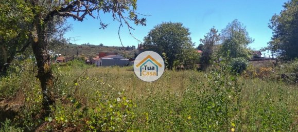 5 Schlafzimmer Haus in Viseu, Portugal, Nr. 58297 19