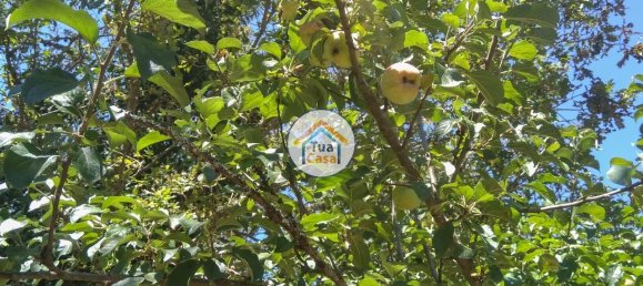 5 Schlafzimmer Haus in Viseu, Portugal, Nr. 58297 21