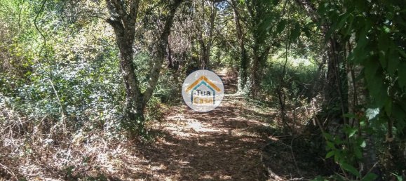 5 Schlafzimmer Haus in Viseu, Portugal, Nr. 58297 23