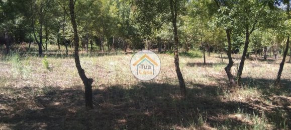 5 Schlafzimmer Haus in Viseu, Portugal, Nr. 58297 18