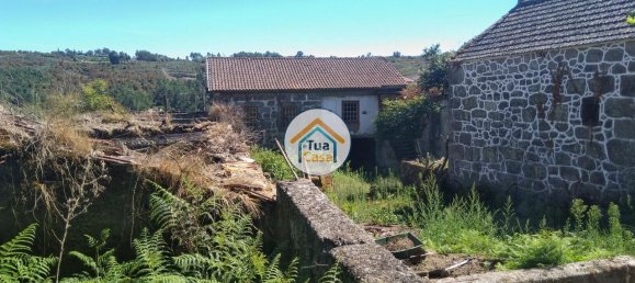 5 Schlafzimmer Haus in Viseu, Portugal, Nr. 58297 10