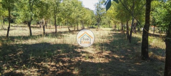 5 Schlafzimmer Haus in Viseu, Portugal, Nr. 58297 16