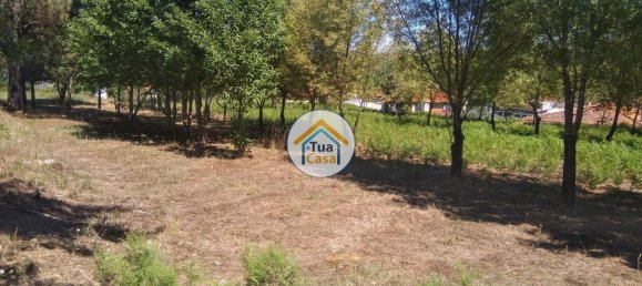 5 Schlafzimmer Haus in Viseu, Portugal, Nr. 58297 15