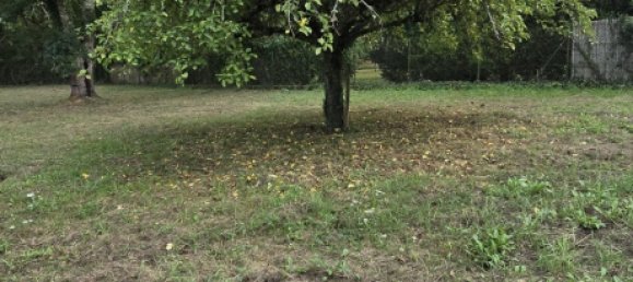 Terrain à Pradines, France No. 99741 4