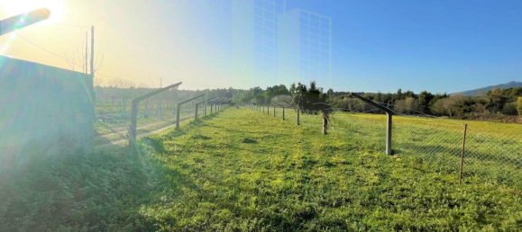 قطعة أرض في Caminha, Portugal 2340متر مربع رقم 57582 2