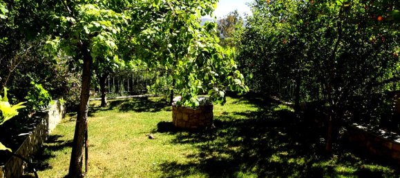 4 bedrooms Villa in Markopoulo Mesogaias, Greece No. 4876 17