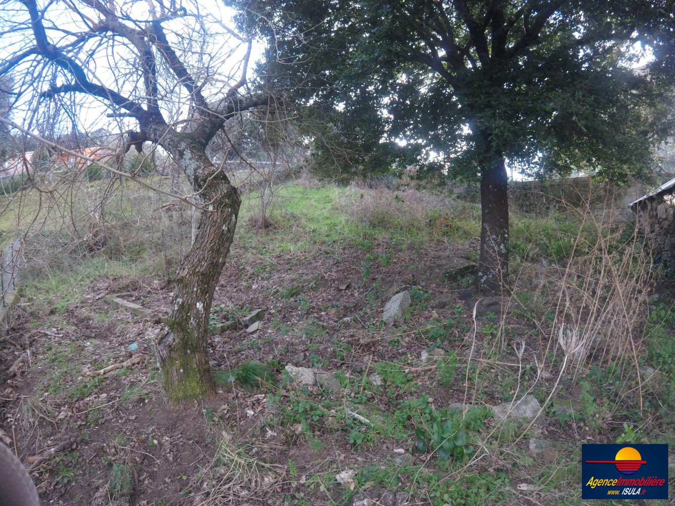 Grundstück in Corrano, France, Nr. 84305