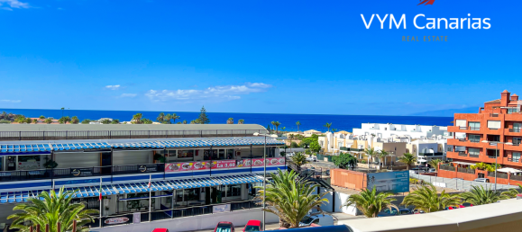 1 Schlafzimmer Wohnung in Palm-Mar, Spain, Nr. 15217 2