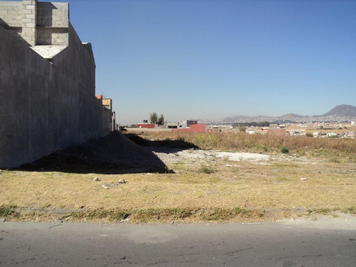 Grundstück in San Buenaventura, Mexico, Nr. 203162