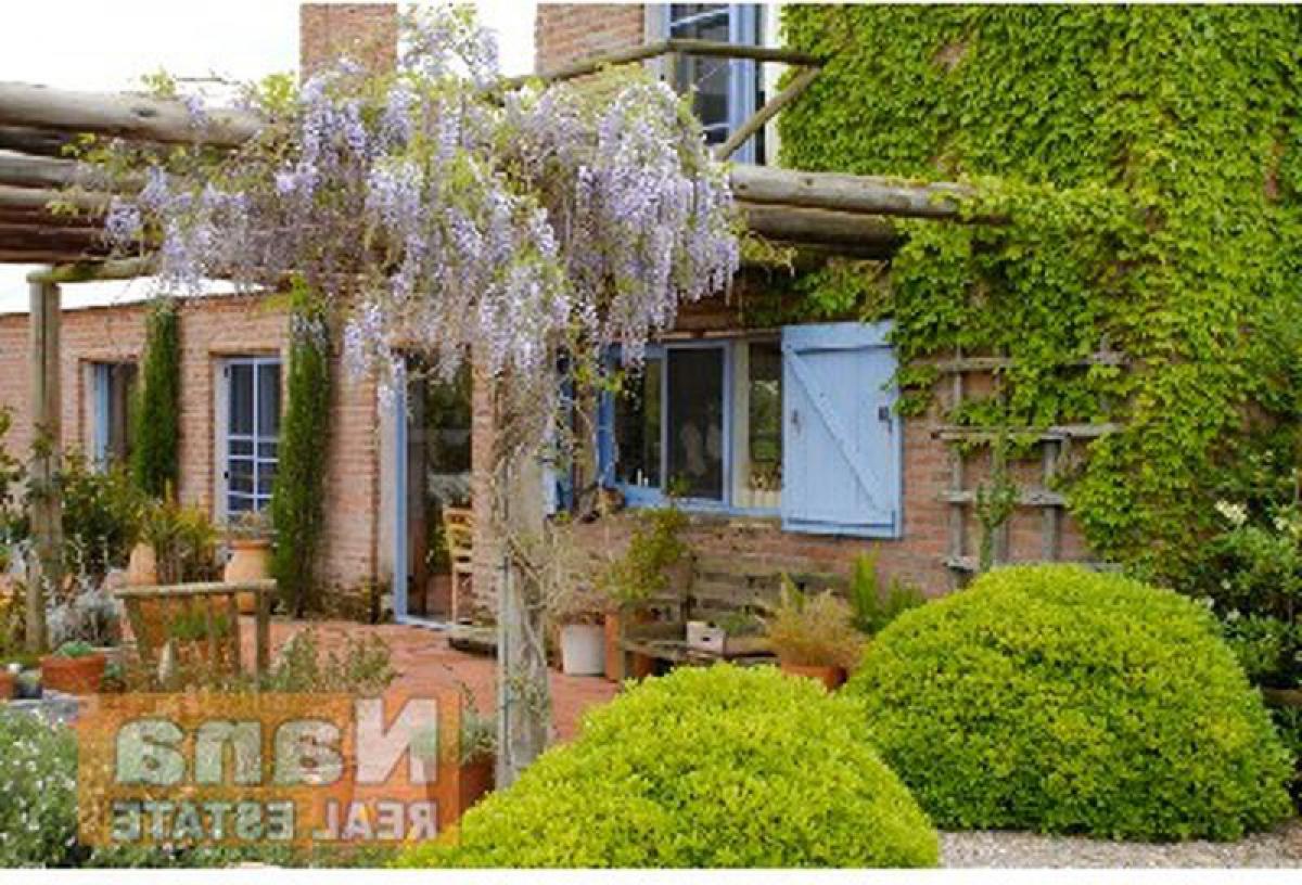  Farm in Maldonado, Uruguay No. 15596
